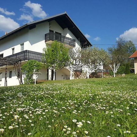 Apartment Silvia Szluin Kültér fotó