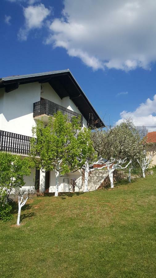 Apartment Silvia Szluin Kültér fotó