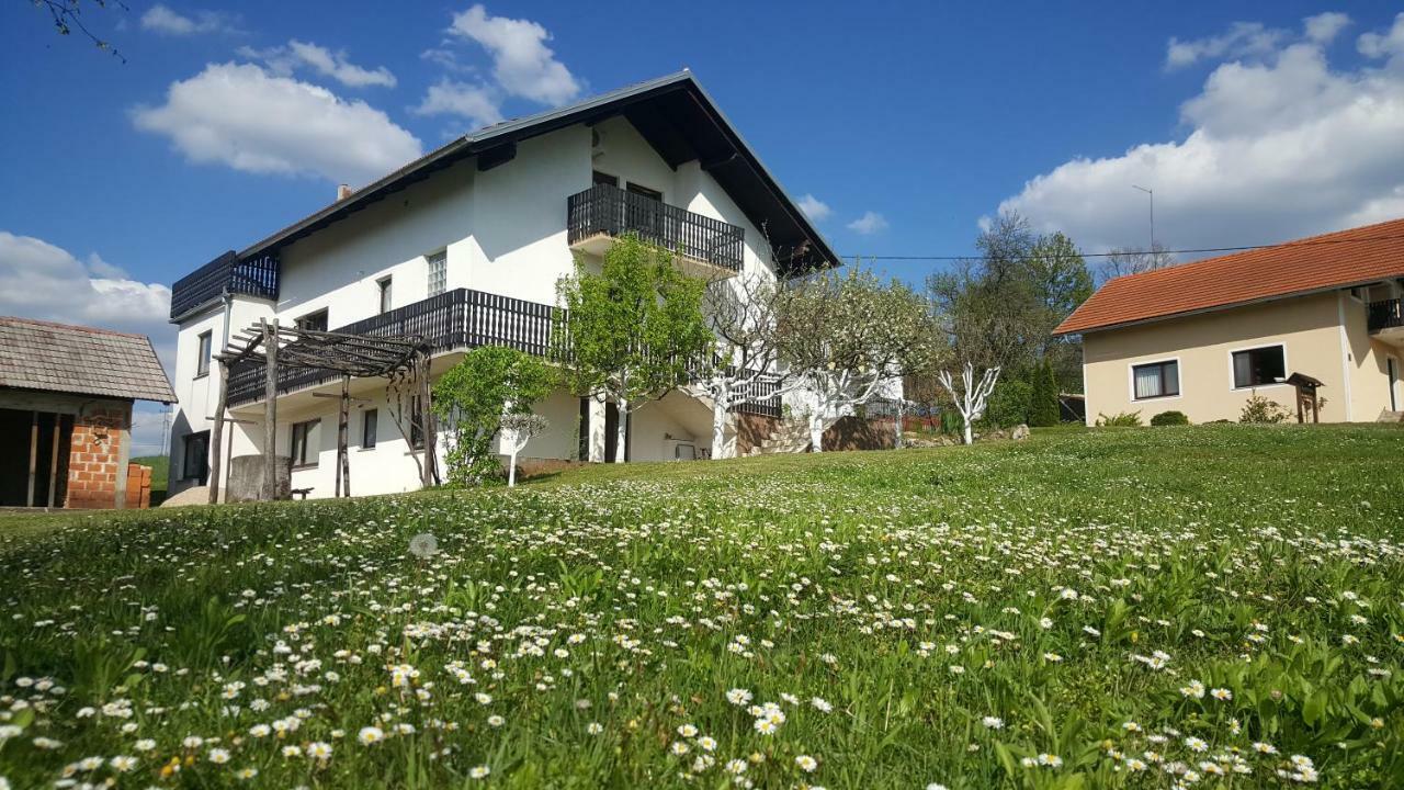 Apartment Silvia Szluin Kültér fotó